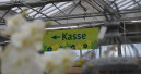 Destatis sieht für den Gartenhandel ein Plus von 1,1 Prozent