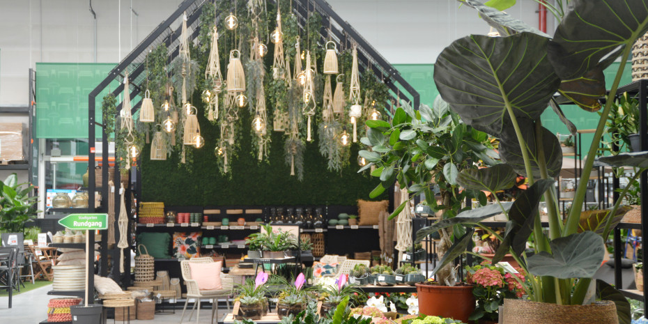 In einem stilisierten Haus &nbsp;wird das Sortiment Home and Living präsentiert, auf das hier besonderen Wert gelegt wird