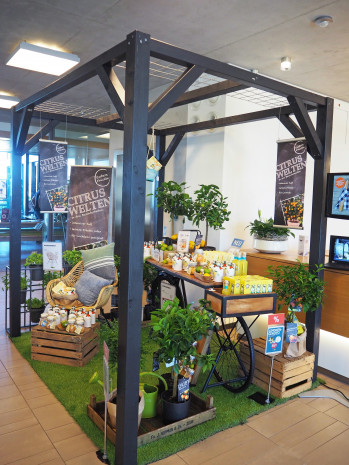 Sagaflor, Cube, Merchandisingkonzept 