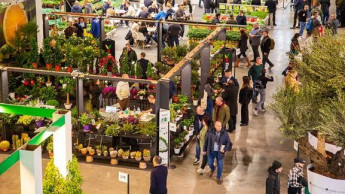 Italien verzeichnet Rekordproduktion im Blumen- und Baumschulsektor
