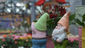 Leicht positivere Zahlen für Garten und Heimtier im August