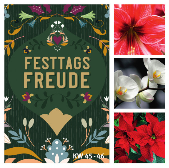 Mit einem neuen Konzept zum Valentinstag startet Landgard &nbsp;ins Blumen- und Pflanzenjahr. &nbsp;