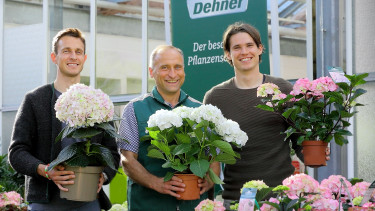 Dehner sponsert FC Augsburg weiter