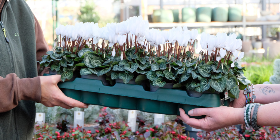 Sechs Millionen Mehrwegtrays möchte die EPT bis Ende des Jahres in den Umlauf bringen.