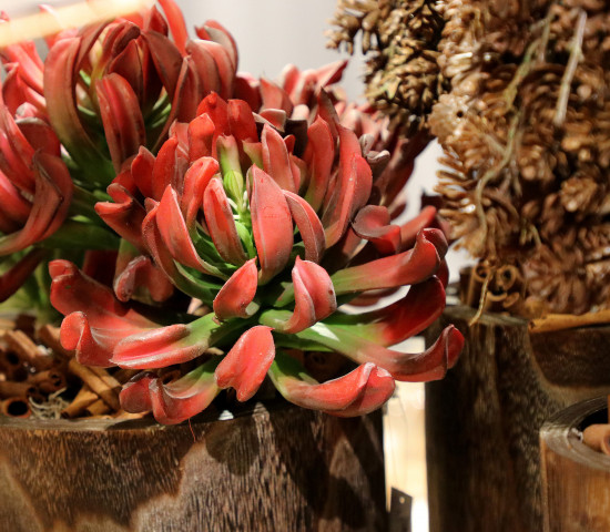 Die Ausstellung der DPI GmbH