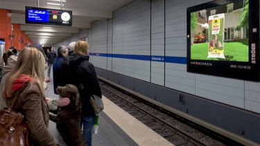 Reizvoll in reizarmer Umgebung