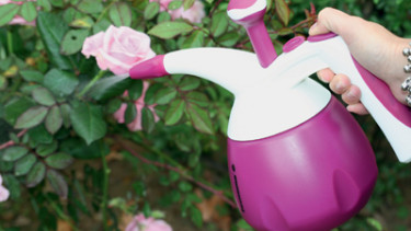 Benutzerfreundlich und sicher