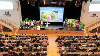 „Das Problem ist nicht das Problem“ „Das Problem ist nicht das Problem“