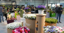 Messe Essen und der Gartenbau NRW setzen Kooperation fort