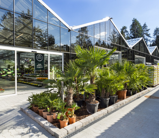 Eine große Freifläche steht in Villach zur Verfügung. Foto: Rene Vidalli