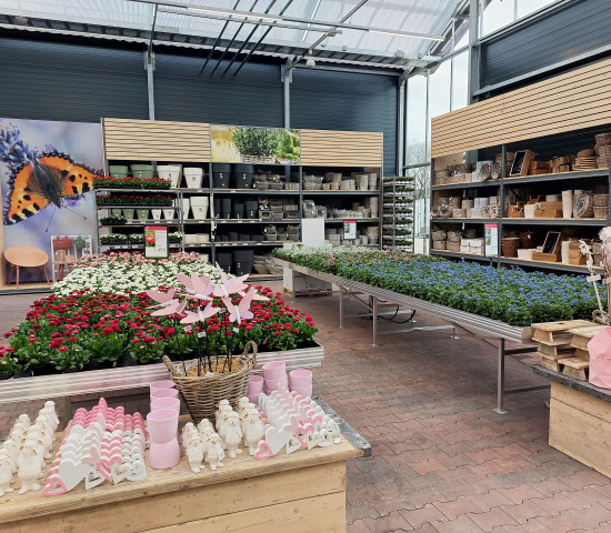 Die Verkaufsfläche von insgesamt 4.000 m² ermöglicht auch eine großzügige Kalthalle. Die Verkaufsfläche von insgesamt 4.000 m² ermöglicht auch eine großzügige Kalthalle.