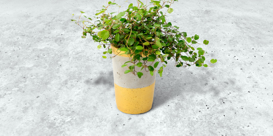 Sakret, Kreativ Beton, Pflanztopf
Sakret, Kreativ Beton, Pflanztopf