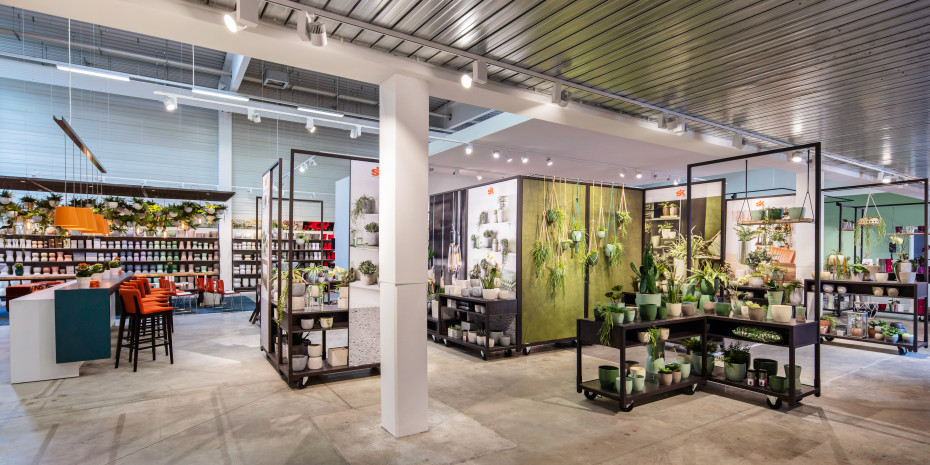 Soendgen, Show-Fläche