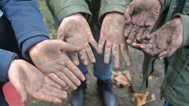 Fleißige Hände: In der Gemüse-Ackerdemie lernen Schüler ganz praktisch, wie natürliche Lebensmittelproduktion funktioniert.