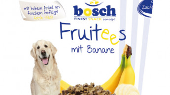 Fruchtige Hundesnacks zur Belohnung