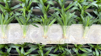 Selecta one erhält Innovationspreis