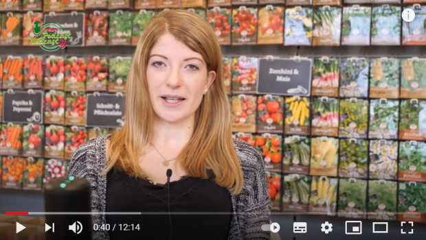 Anna-Lena interviewt in jeder Folge neue Gäste.