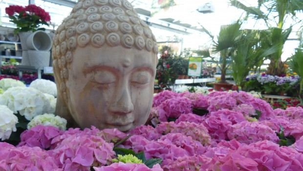 Der Garten schafft Entspannung - Baumärkte und Gartencenter helfen dabei.