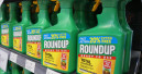 Glyphosat im Garten wird verboten