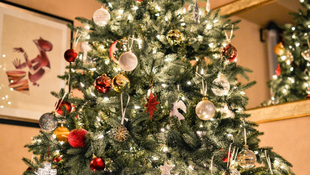 Zu Weihnachten gehört er für zwei Drittel in die Wohnung: der Weihnachtsbaum. Bild: Pixabay/Free-Photos Zu Weihnachten gehört er für zwei Drittel in die Wohnung: der Weihnachtsbaum. Bild: Pixabay/Free-Photos