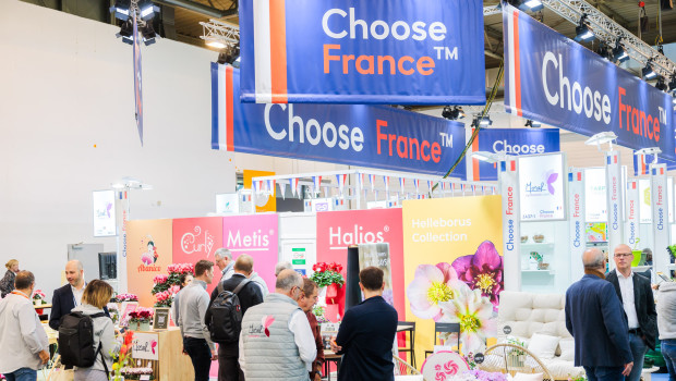 Der französische Gemeinschaftsstand präsentiert sich unter dem Motto "Choose France".