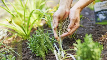 Verantwortung kennt keine Grenzen