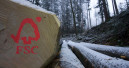 Hornbach führt beim Angebot mit FSC-Produkten