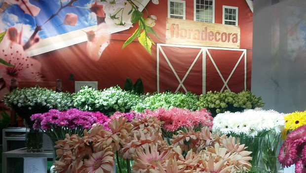 Die Floradecora findet 2018 an allen Messetagen der Christmasworld statt, also vom 26. bis zum 30. Januar 2018.