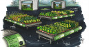 Floradecora will neues Konzept für Blumen und Pflanzen bieten