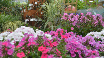 Umsatzkurve des Gartenhandels verschlechtert sich im September Umsatzkurve des Gartenhandels verschlechtert sich im September