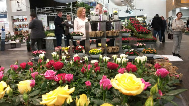IPM-Macher trotz weniger Besucher und Aussteller zufrieden