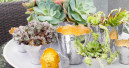 Landgard will C&C-Kunden inspirieren