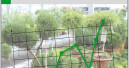 Das Blühen der Gartencenter