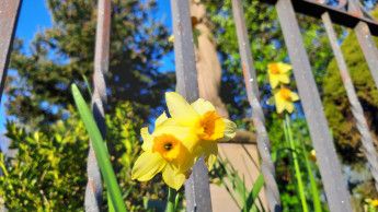 Eine gute Karwoche – und frohe Ostertage! Eine gute Karwoche – und frohe Ostertage!