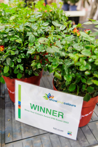 Der „Show your Colours“-Award&nbsp;zeichnet Produkte mit dem&nbsp;gewissen Etwas aus.