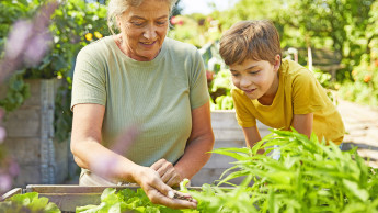 „Familien betrachten das Gärtnern ganzheitlich“
