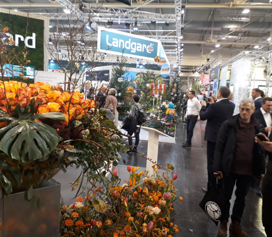 Impressionen von der IPM.
