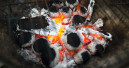Immer weniger Holzkohlegrills