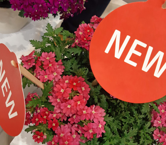 Neue Pflanzenzüchtungen sind eines der großen Themen auf der Weltleitmesse des Gartenbaus.&nbsp;