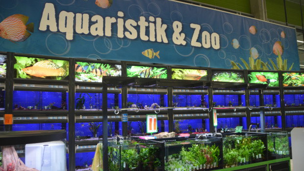 Auch in Eisenstadt gibt es eine Aquaristik-Abteilung. Auch in Eisenstadt gibt es eine Aquaristik-Abteilung.