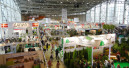 Die Flowers IPM Moskau mit weniger Austellern