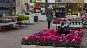 Verbraucherstimmung sackt wieder leicht ab