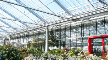 Nach oben offen Nach oben offen