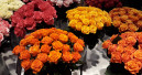 Liebe geht durch den Geldbeutel und durch das Blumengeschäft