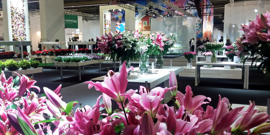 Floradecora, Frankfurt
Floradecora, Frankfurt