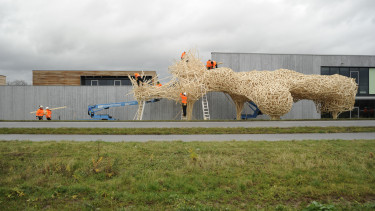 Hornbachs ungewöhnliche Projekte