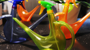 Trendprodukte werden ausgezeichnet