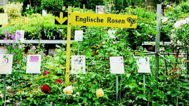 Konsumhaltung der Gartenbesitzer für 2006