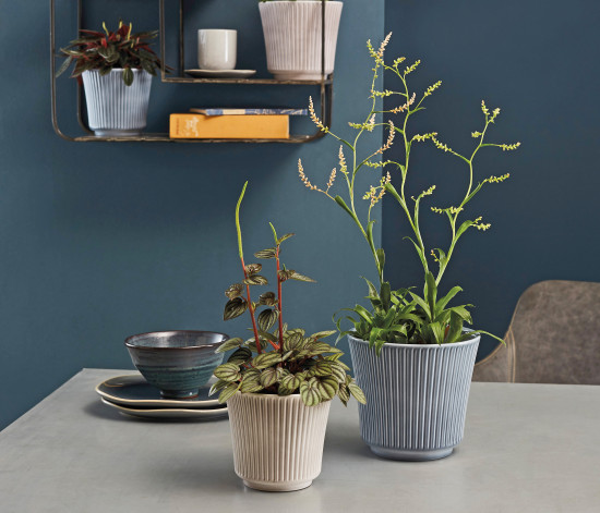 Die neu gebildete Gruppe vereint zwei Marken und zwei Materialgruppen unter einem Dach: Hier die keramischen Pflanzgefäße von Soendgen.