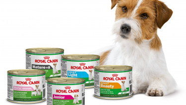 Royal Canin: Feuchtnahrung für Hunde